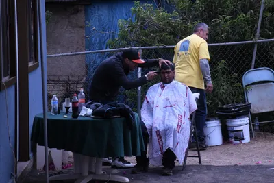 DSC_1387 (Large).JPG